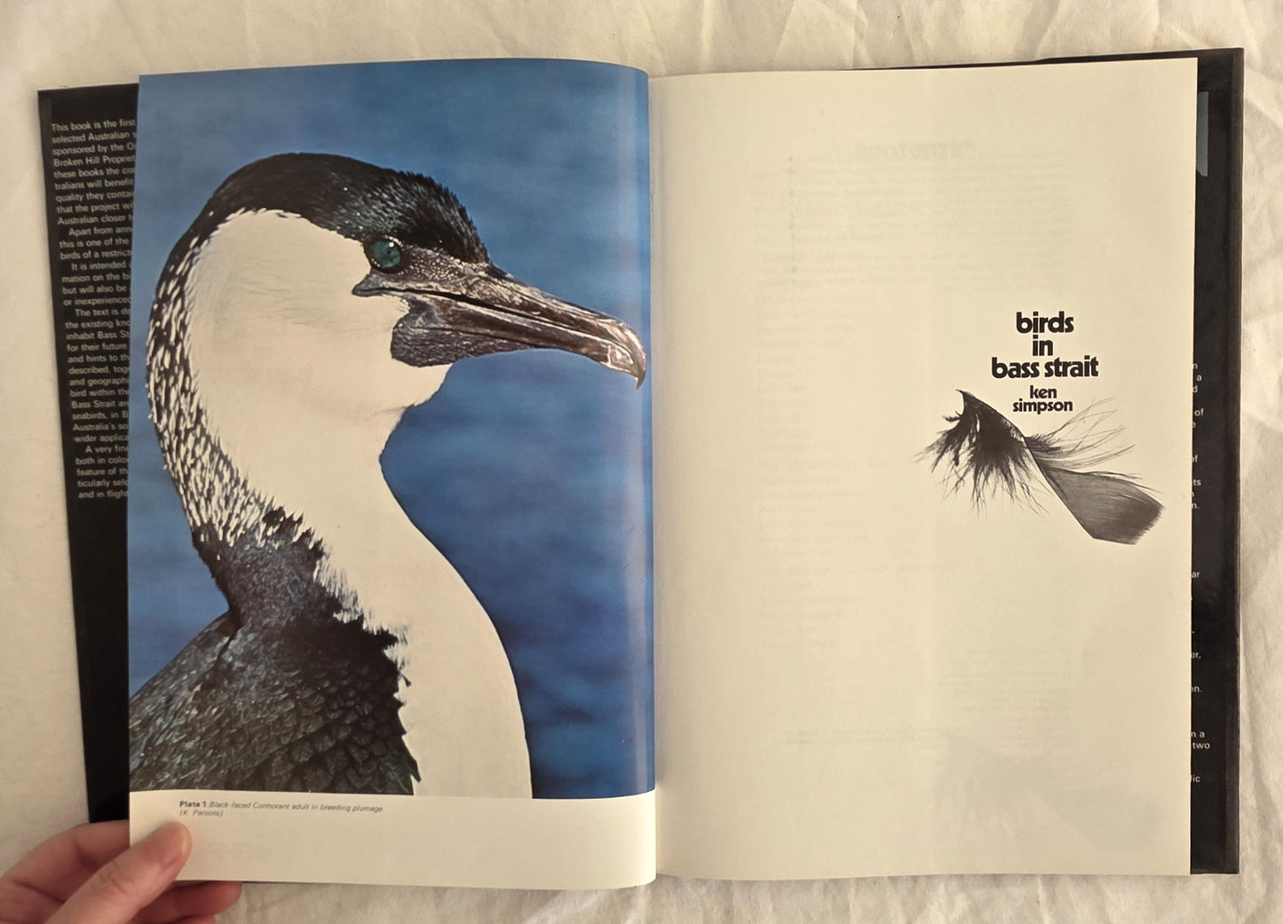 Birds in Bass Strait by Ken Simpson