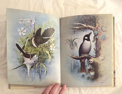 Birds of Fiji in Colour by W. J. Belcher and R. B. Sibson