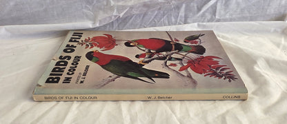 Birds of Fiji in Colour by W. J. Belcher and R. B. Sibson