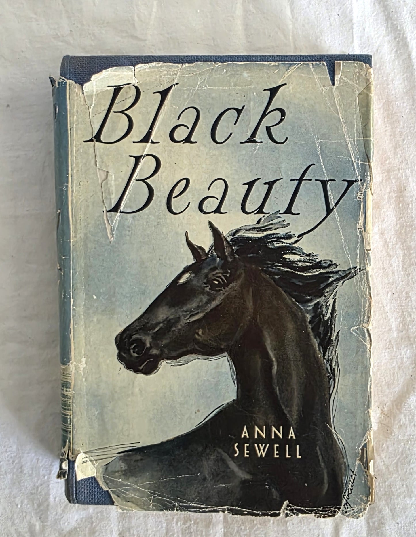 Book titled 'Black Beauty' by Anna Sewell with a horse illustration on the cover.