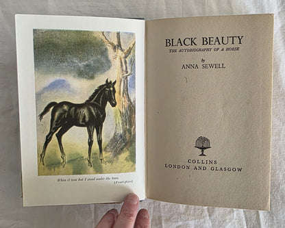 Black Beauty by Anna Sewell