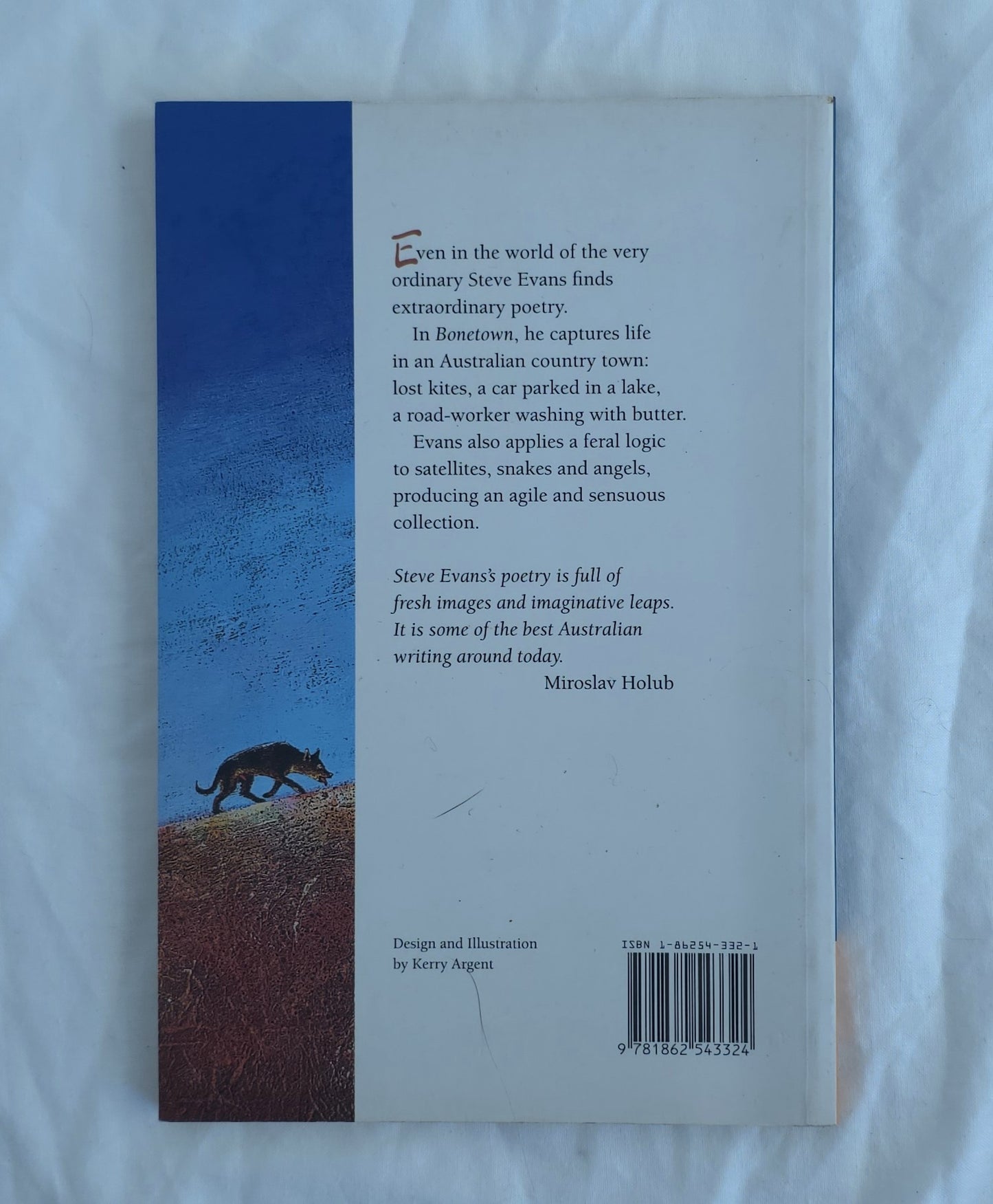 Bonetown by Steve Evans
