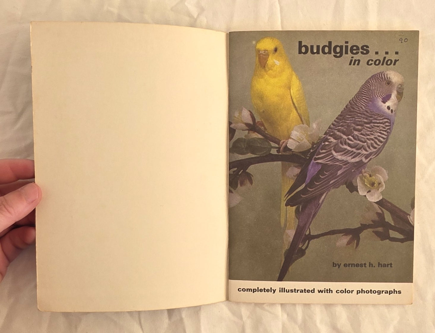 Budgies… in Color by Ernest H. Hart
