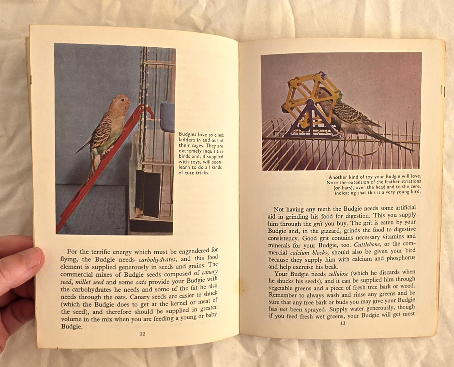 Budgies… in Color by Ernest H. Hart