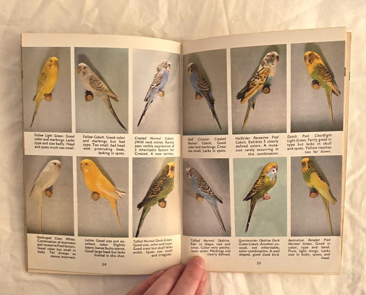 Budgies… in Color by Ernest H. Hart