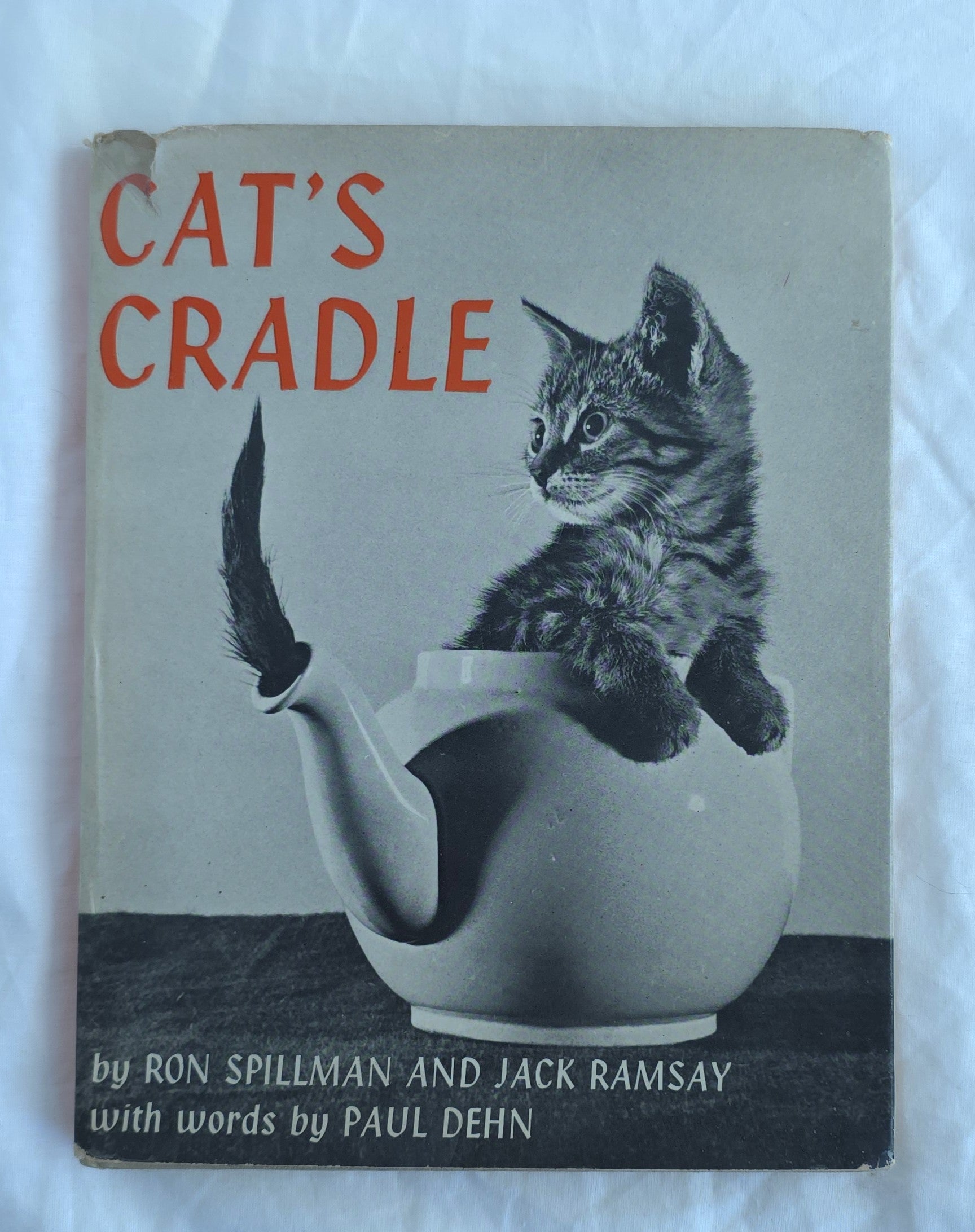 Book cover of 'Cat's Cradle' with a kitten in a teapot on a white background