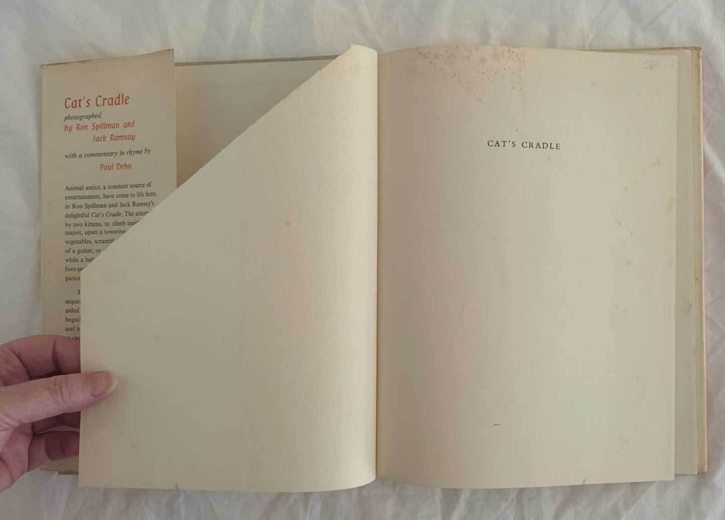 Cat’s Cradle by Ron Spillman and Jack Ramsay