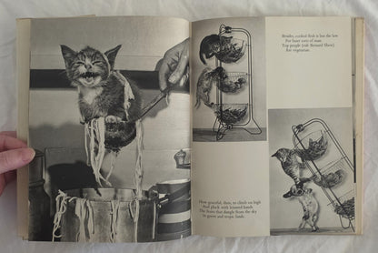 Cat’s Cradle by Ron Spillman and Jack Ramsay