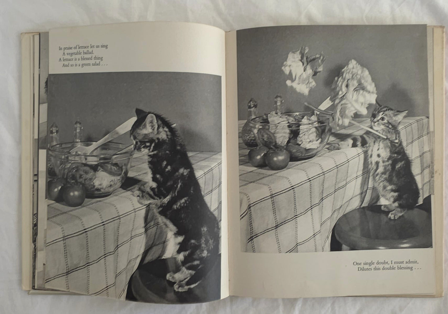 Cat’s Cradle by Ron Spillman and Jack Ramsay