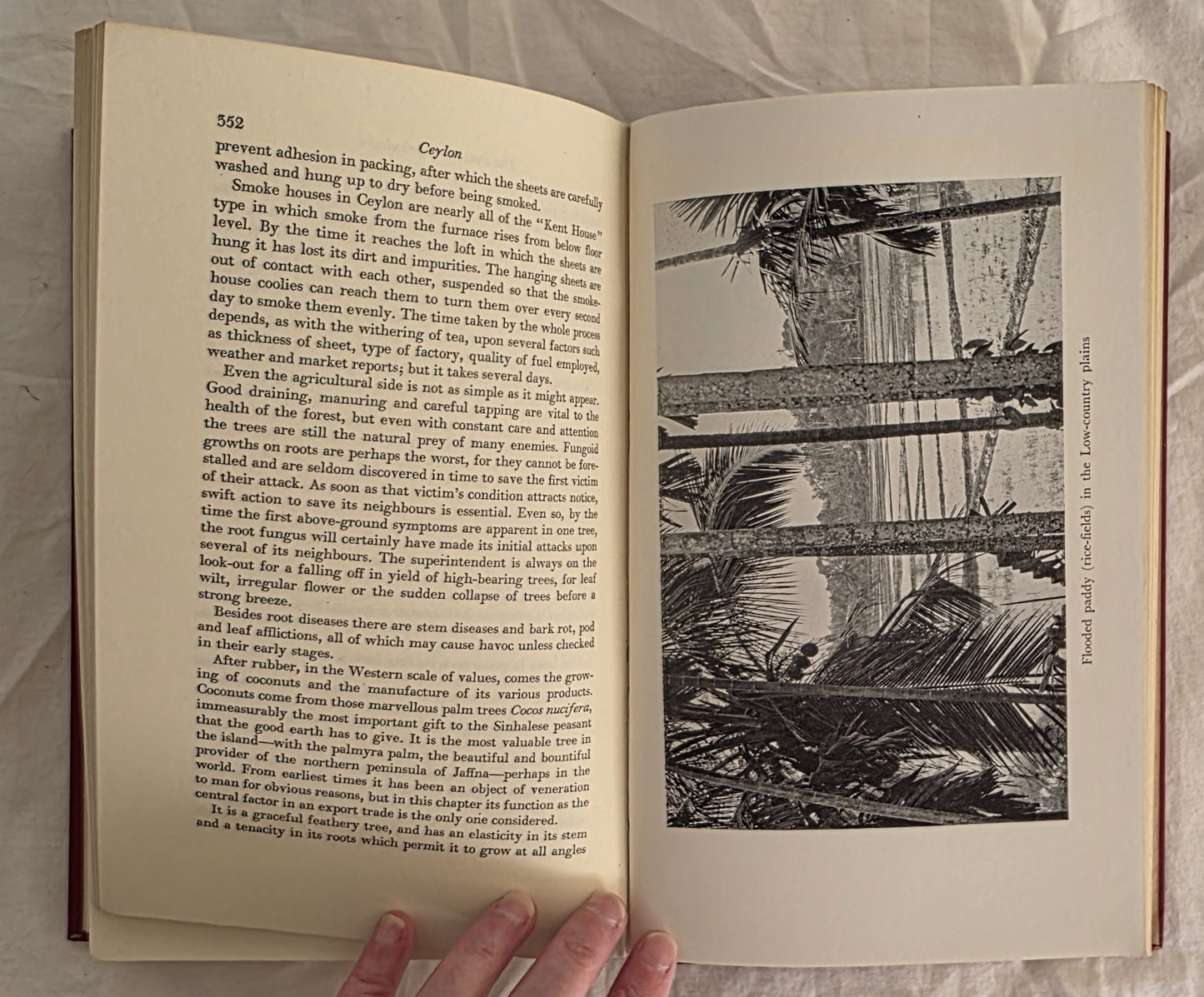 Ceylon Pearl of the East by Harry Williams