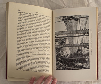 Ceylon Pearl of the East by Harry Williams