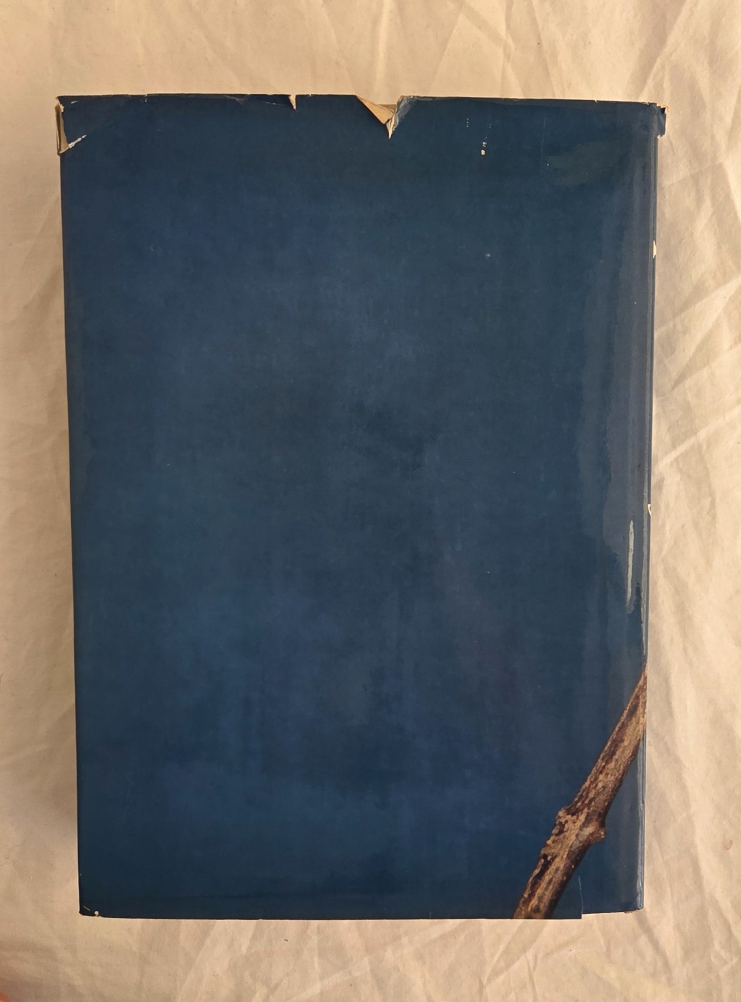 Reader’s Digest Complete Book of Australian Birds by H. J. Firth