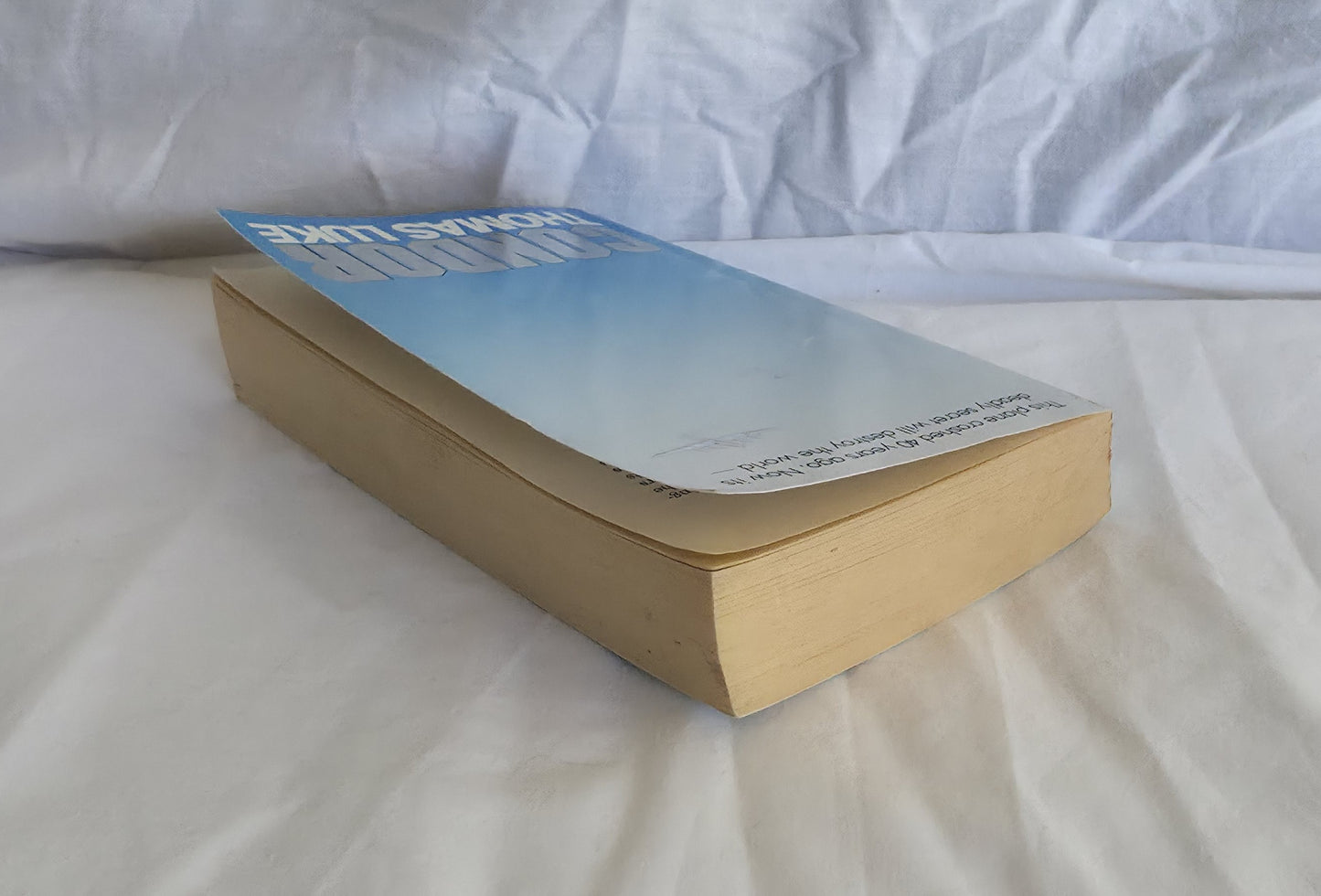 Condor by Thomas Luke