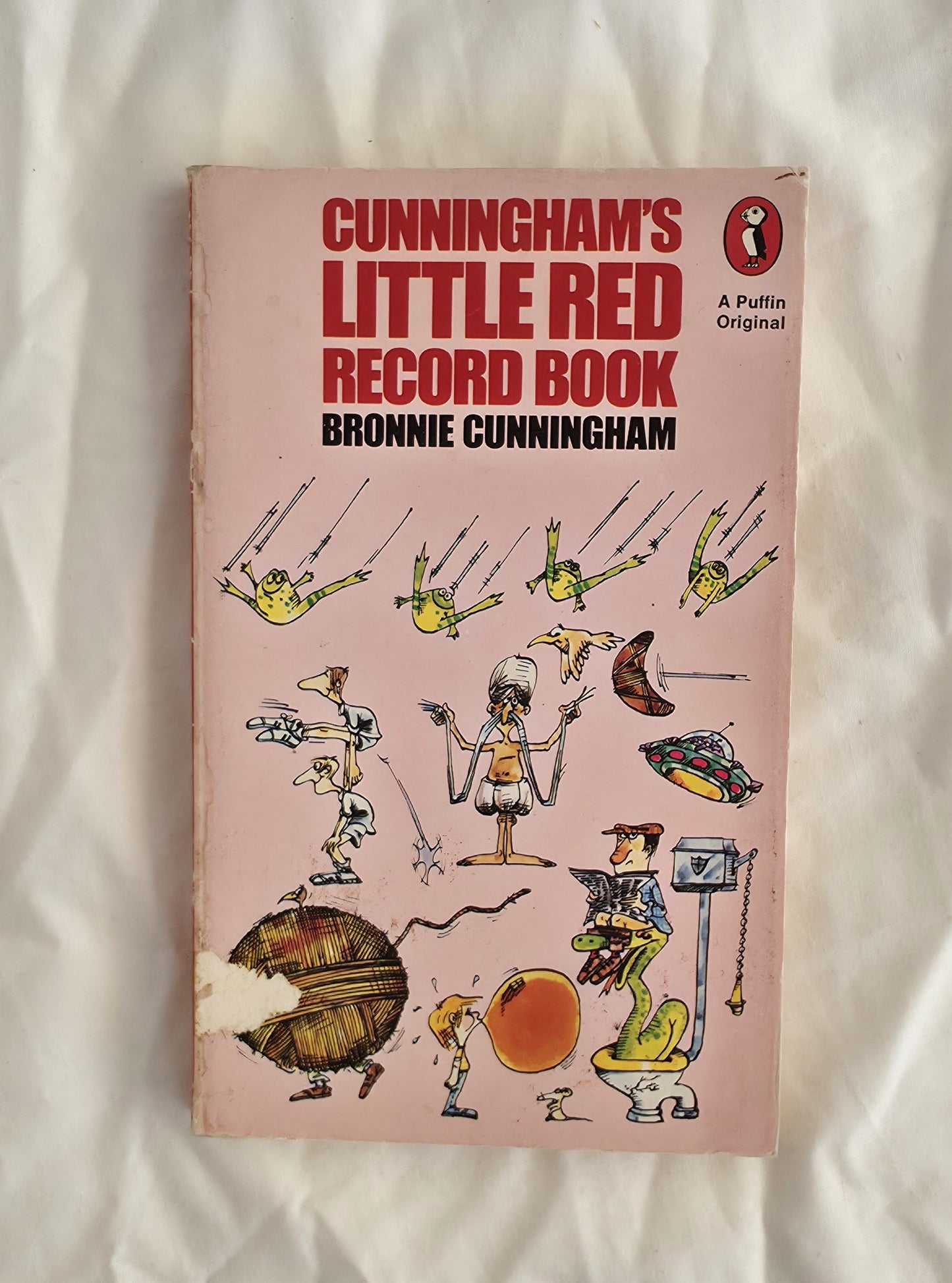 Book cover of 'Cunningham's Little Red Record Book' by Bronnie Cunningham on a textured white background