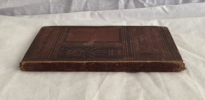 Dreaming Susy and other stories