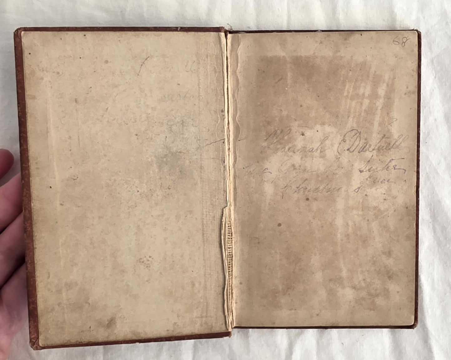 Dreaming Susy and other stories