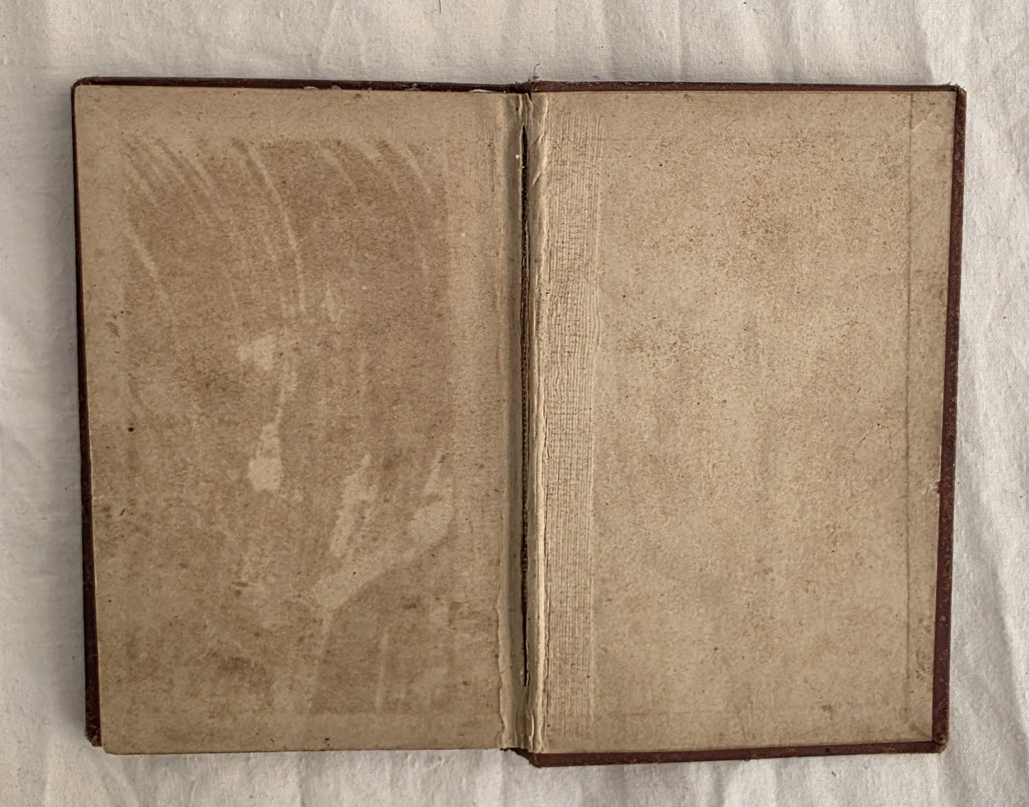 Dreaming Susy and other stories