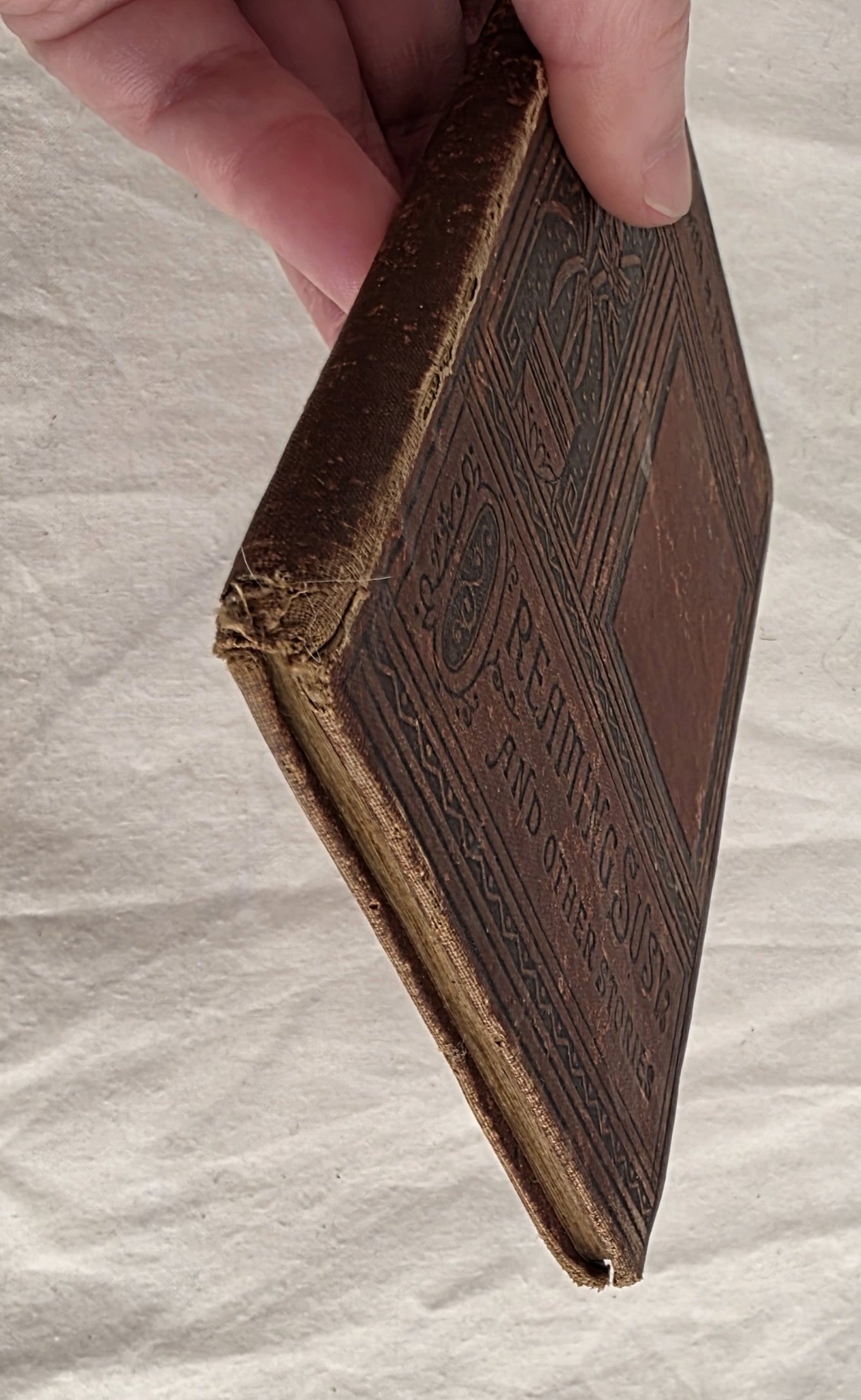 Dreaming Susy and other stories