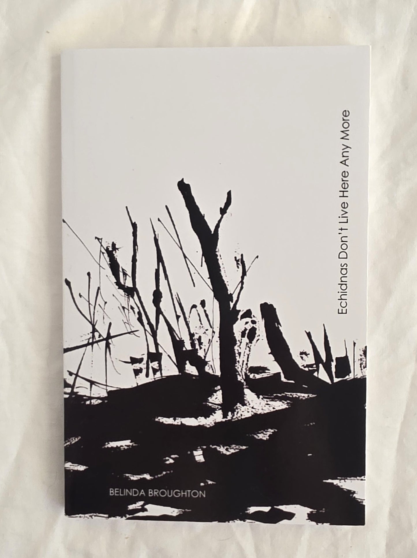 Book cover with black and white illustration of a barren landscape and text on a textured beige background