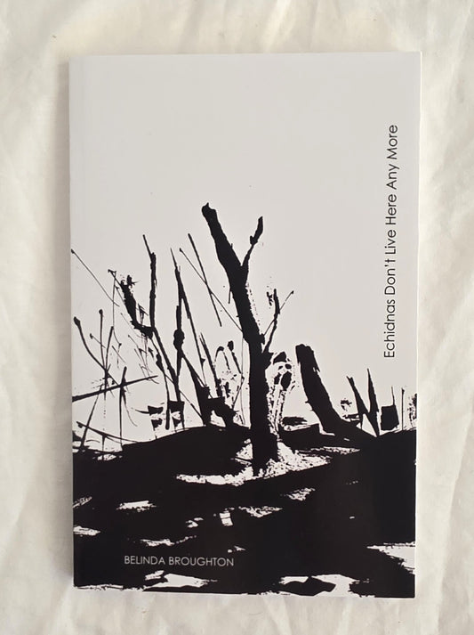 Book cover with black and white illustration of a barren landscape and text on a textured beige background