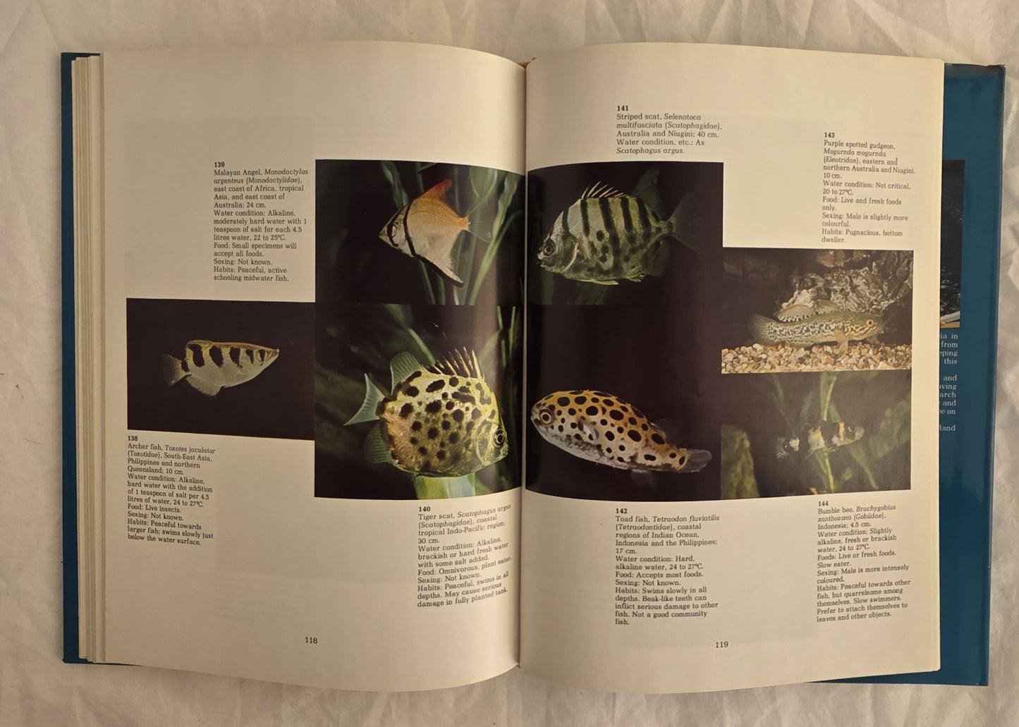 Fish for Australian Freshwater Aquariums by Christopher Lee