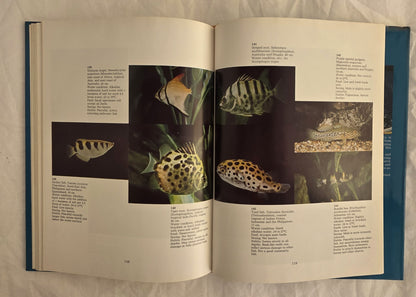 Fish for Australian Freshwater Aquariums by Christopher Lee