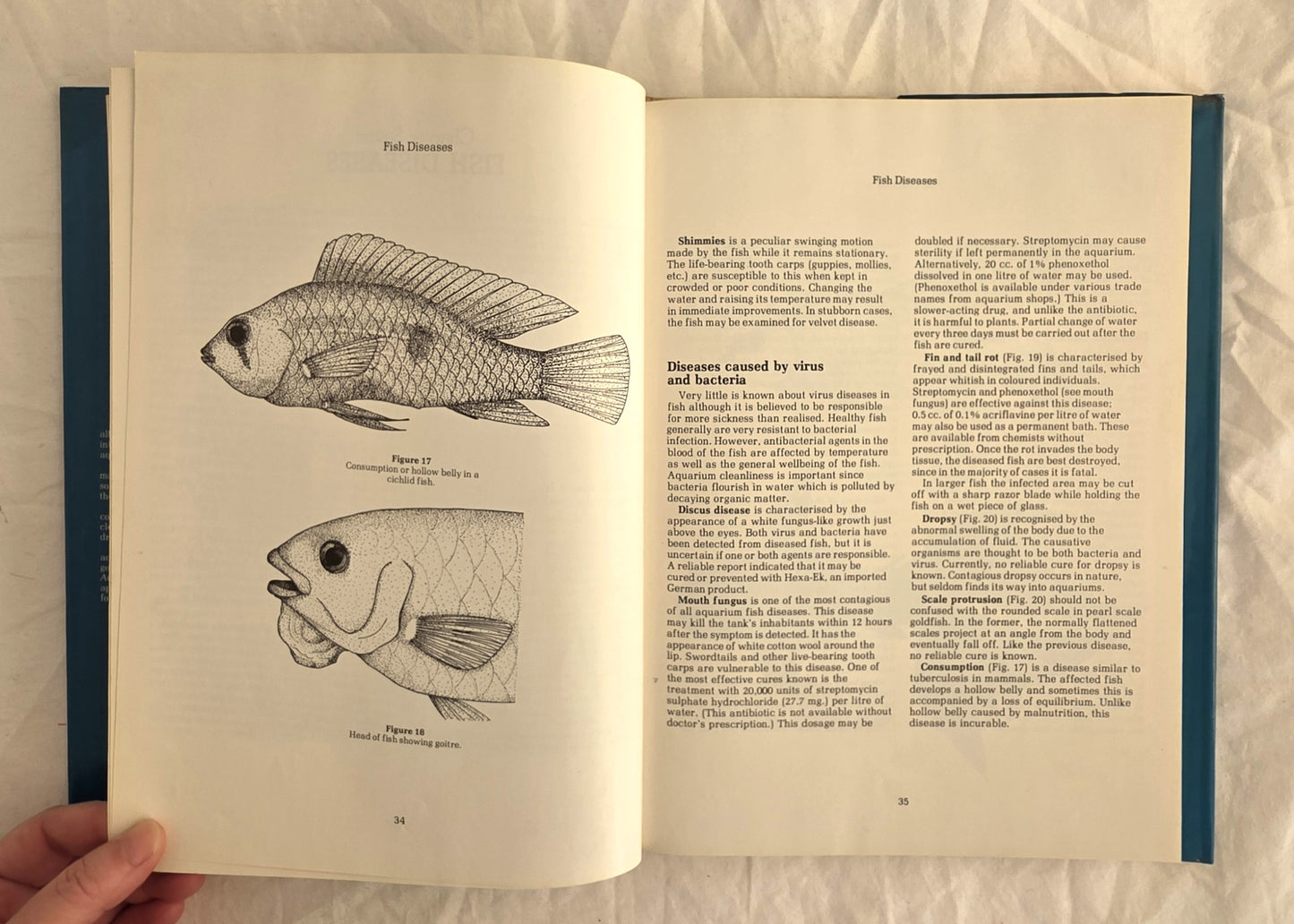 Fish for Australian Freshwater Aquariums by Christopher Lee