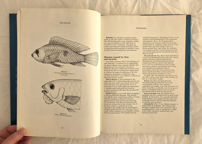 Fish for Australian Freshwater Aquariums by Christopher Lee