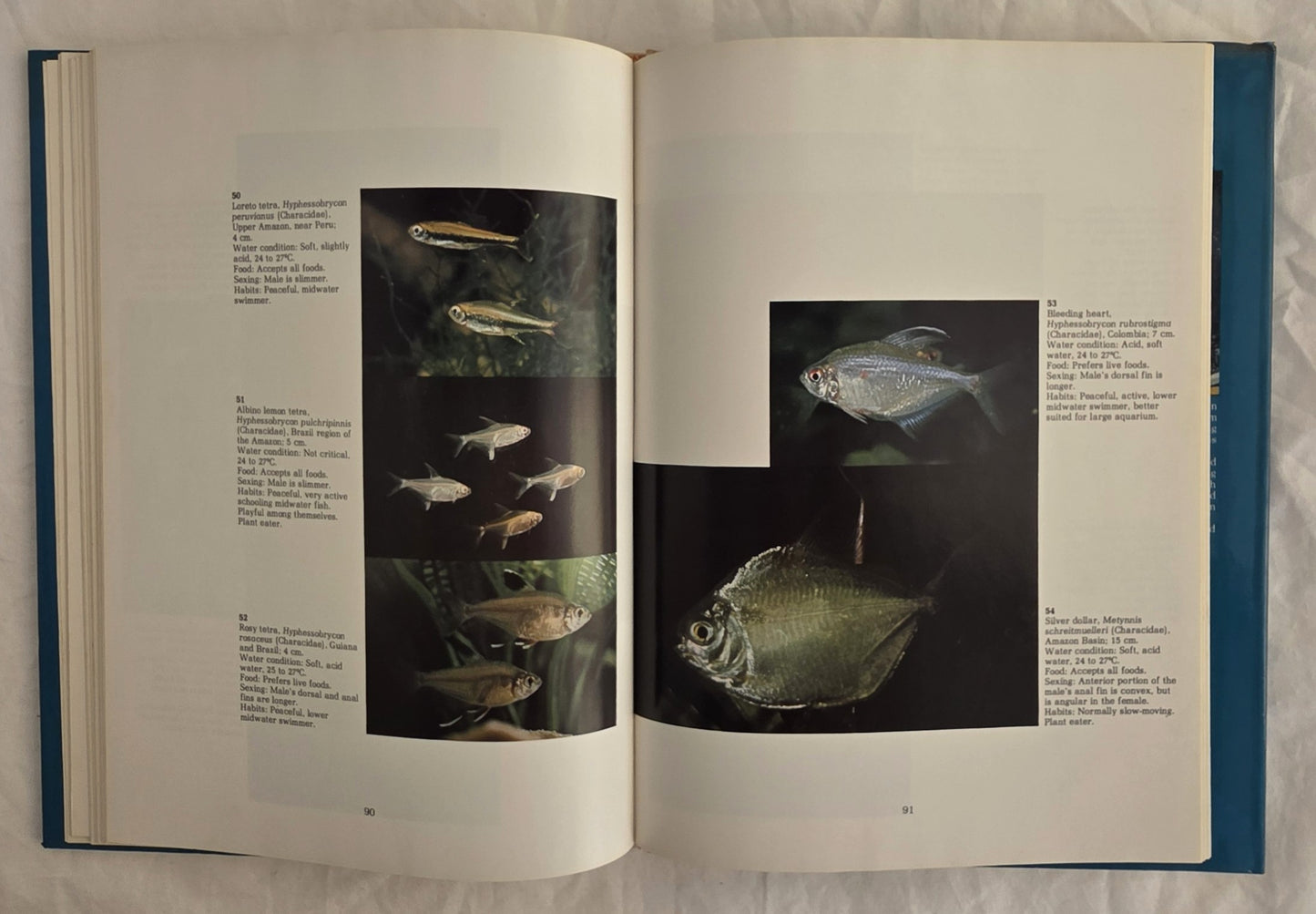 Fish for Australian Freshwater Aquariums by Christopher Lee