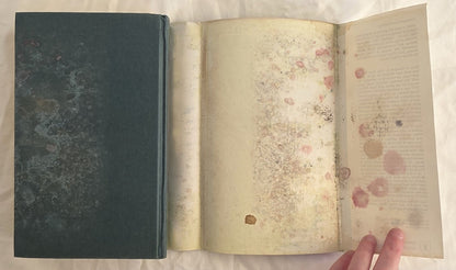 Flanagan’s Run by Tom McNab