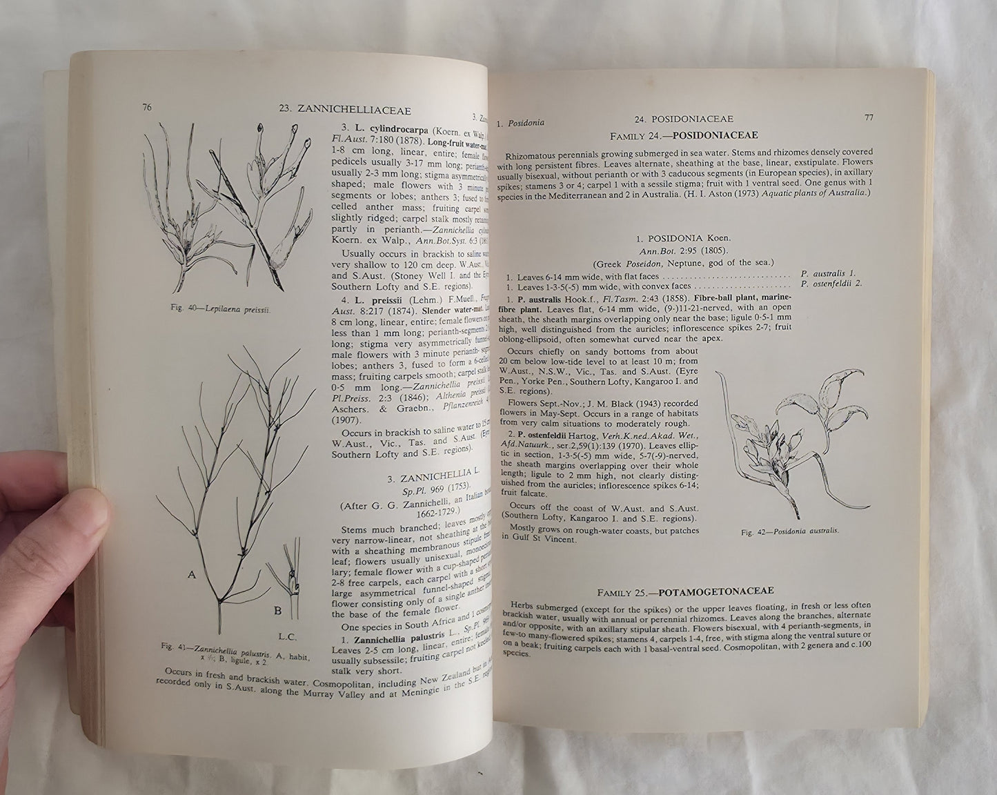Flora of South Australia Part I by J. M. Black