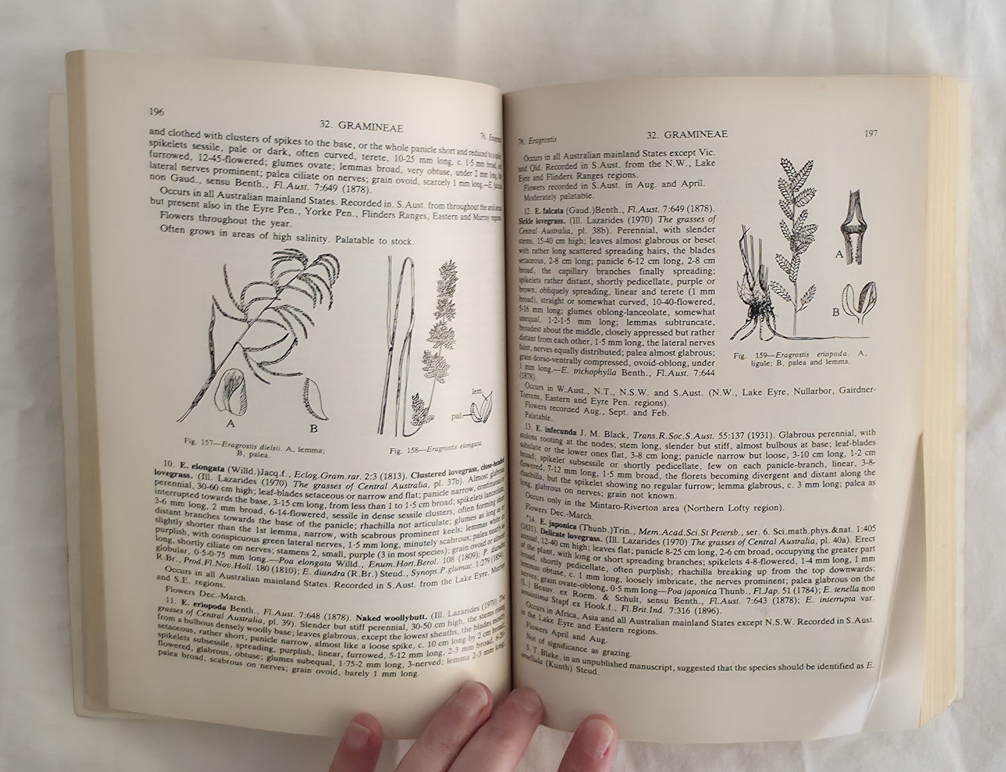 Flora of South Australia Part I by J. M. Black