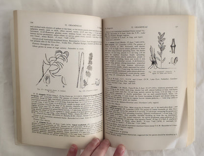 Flora of South Australia Part I by J. M. Black