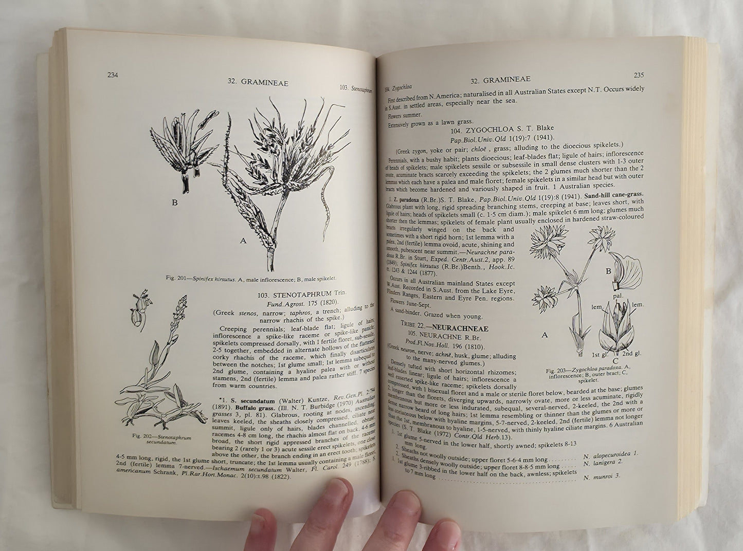 Flora of South Australia Part I by J. M. Black