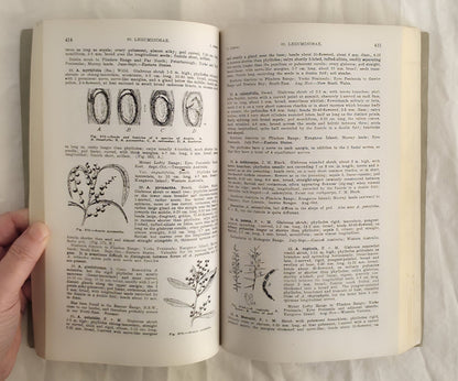 Flora of South Australia Parts II and III by J. M. Black