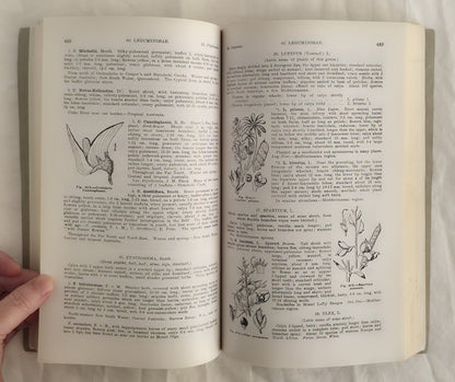 Flora of South Australia Parts II and III by J. M. Black