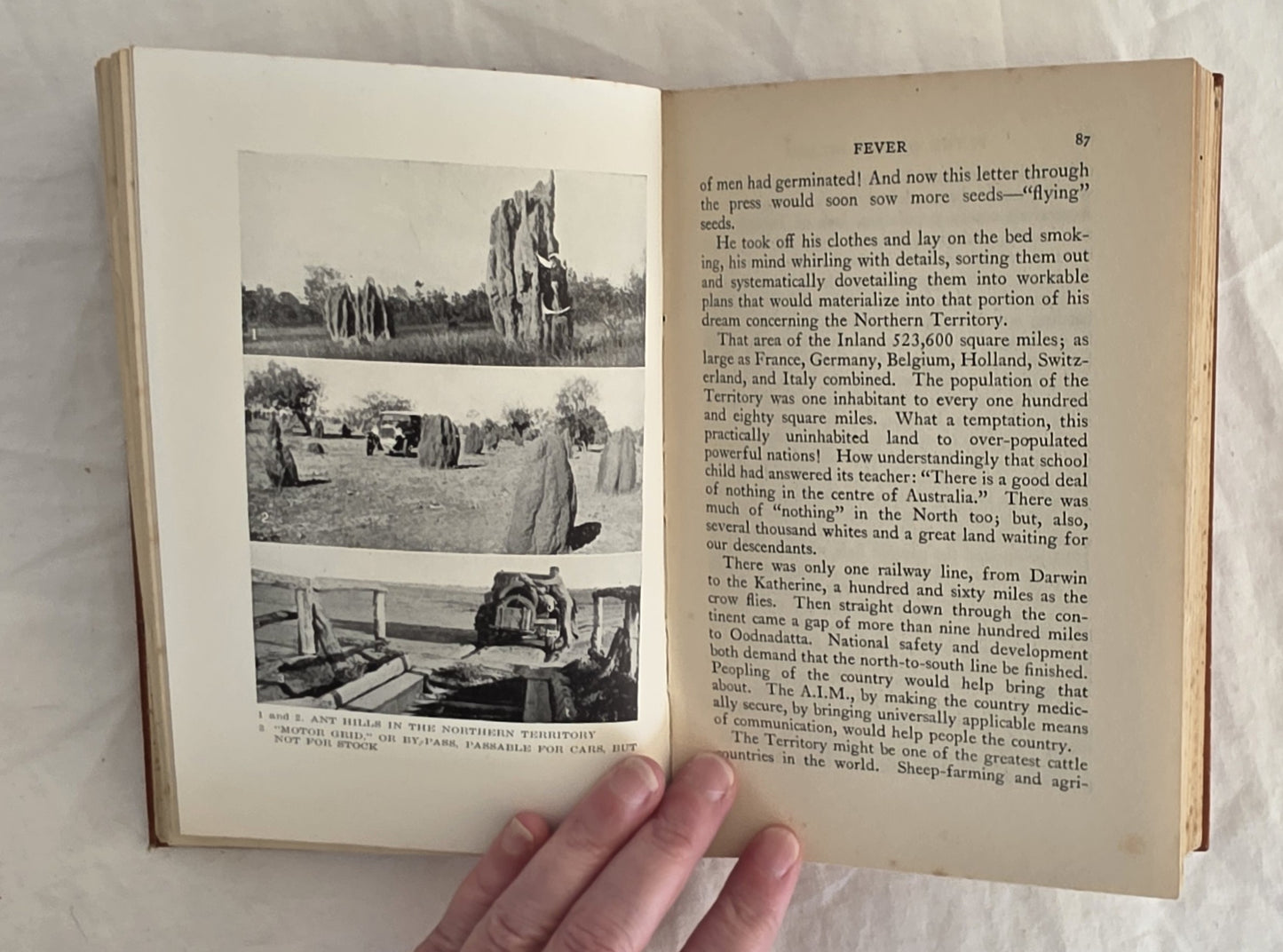 Flynn of the Inland by Ion L. Idriess (1932)