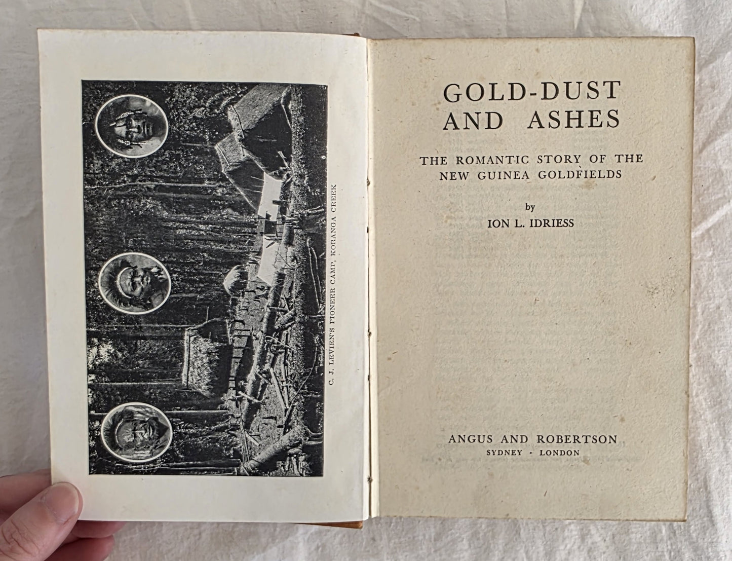 Open book titled 'Gold-Dust and Ashes' with illustrations on a textured surface