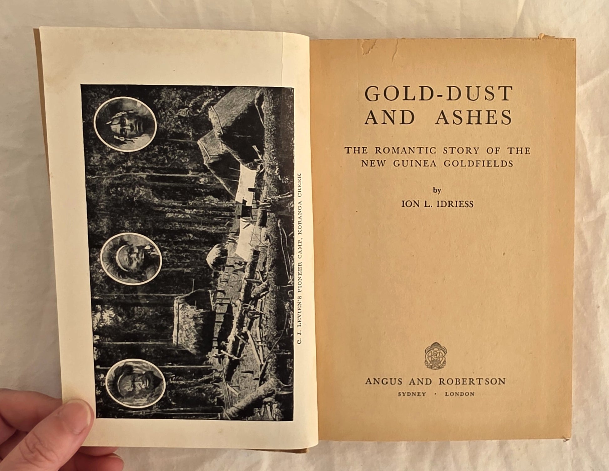 Book titled 'Gold-Dust and Ashes' held open by a hand on a textured surface.