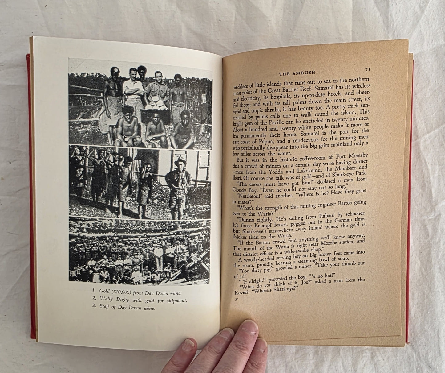 Gold-Dust and Ashes by Ion L. Idriess (1953)