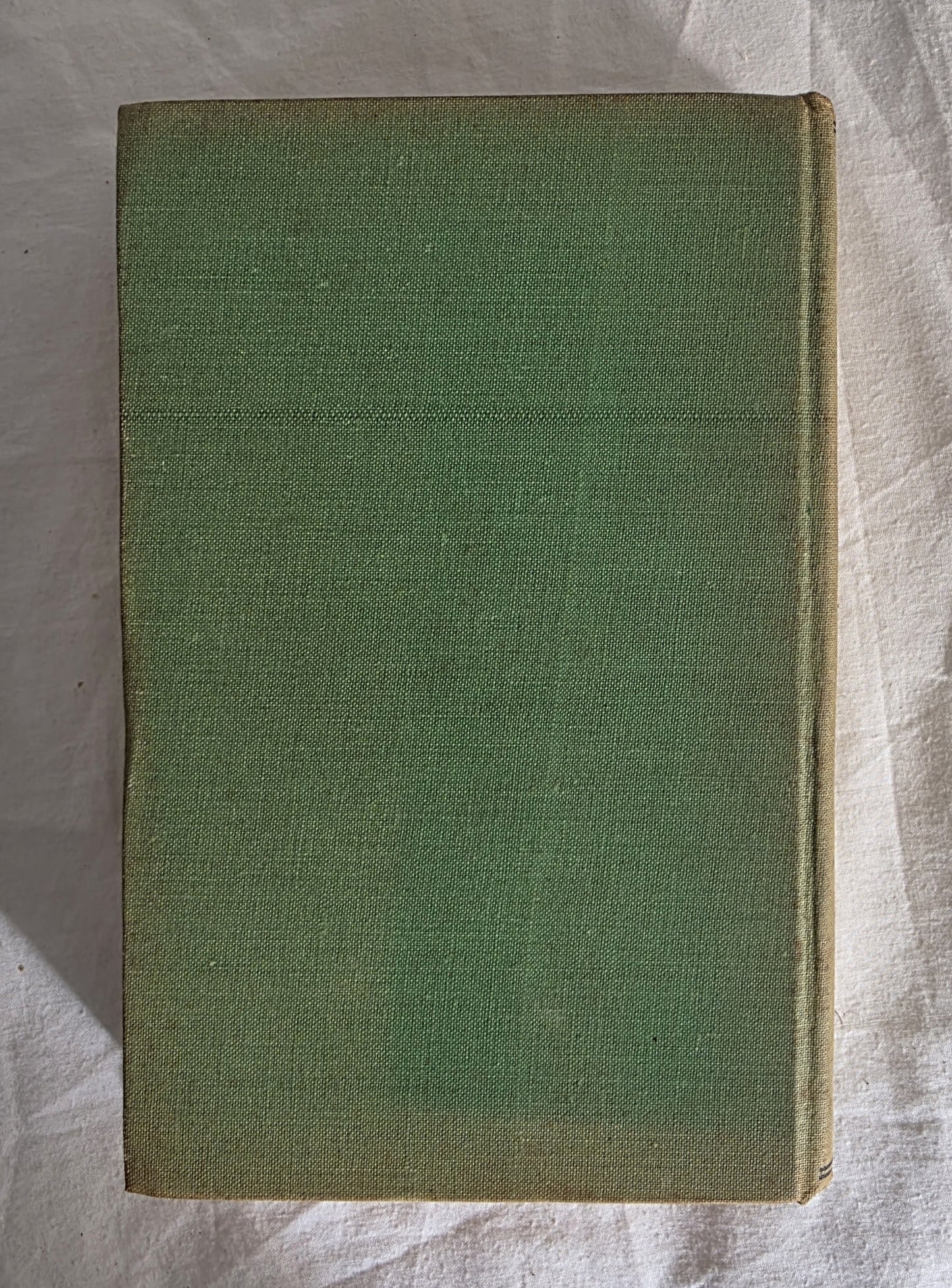 Green Grass of Wyoming by Mary O’Hara