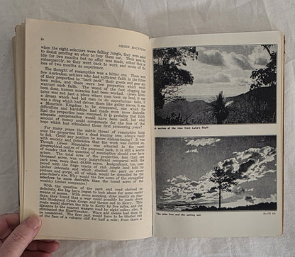 Green Mountains by Bernard O’Reilly
