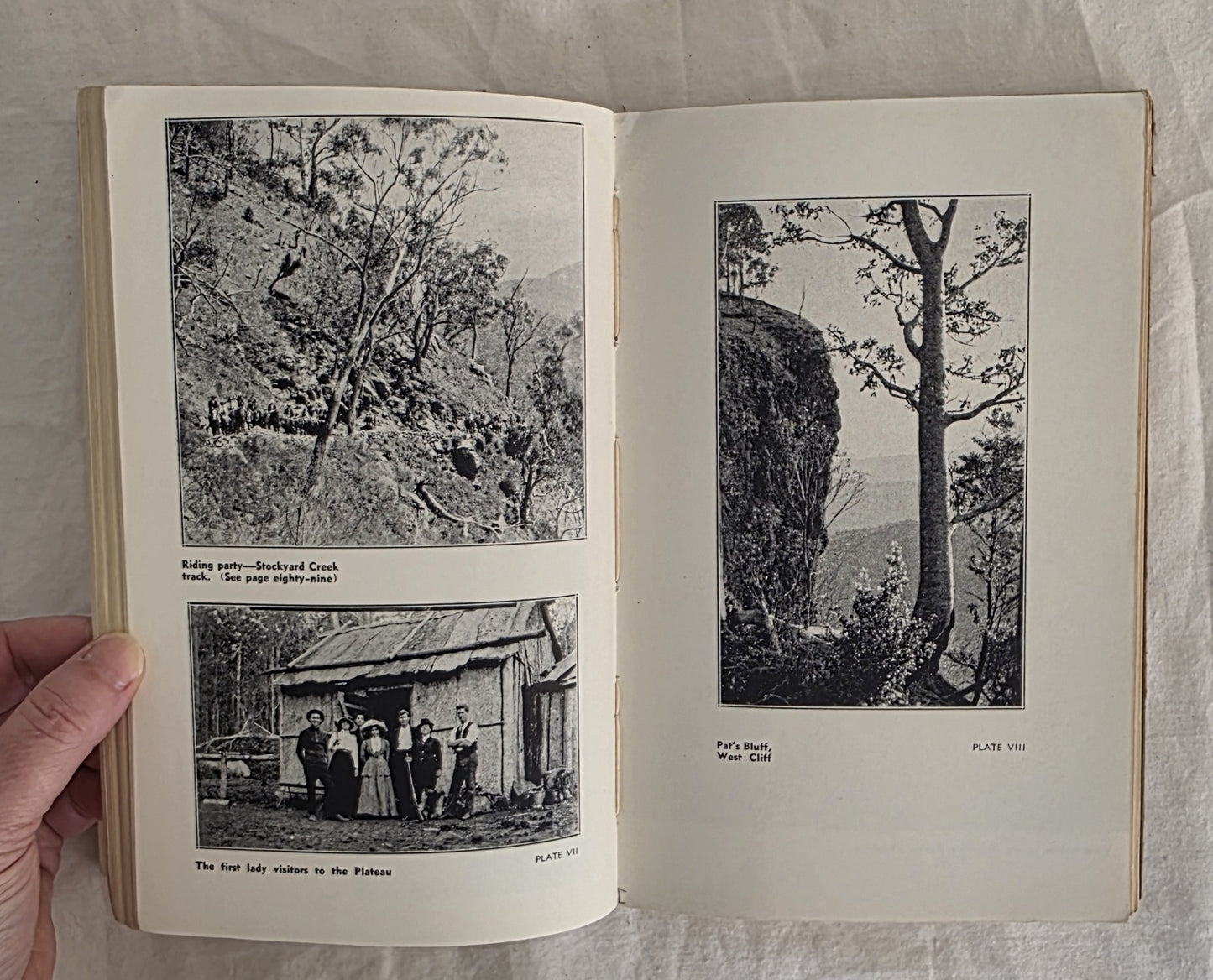 Green Mountains by Bernard O’Reilly