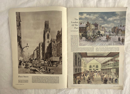 Holly Leaves  No. 3986A Vol. 206 November 14, 1958