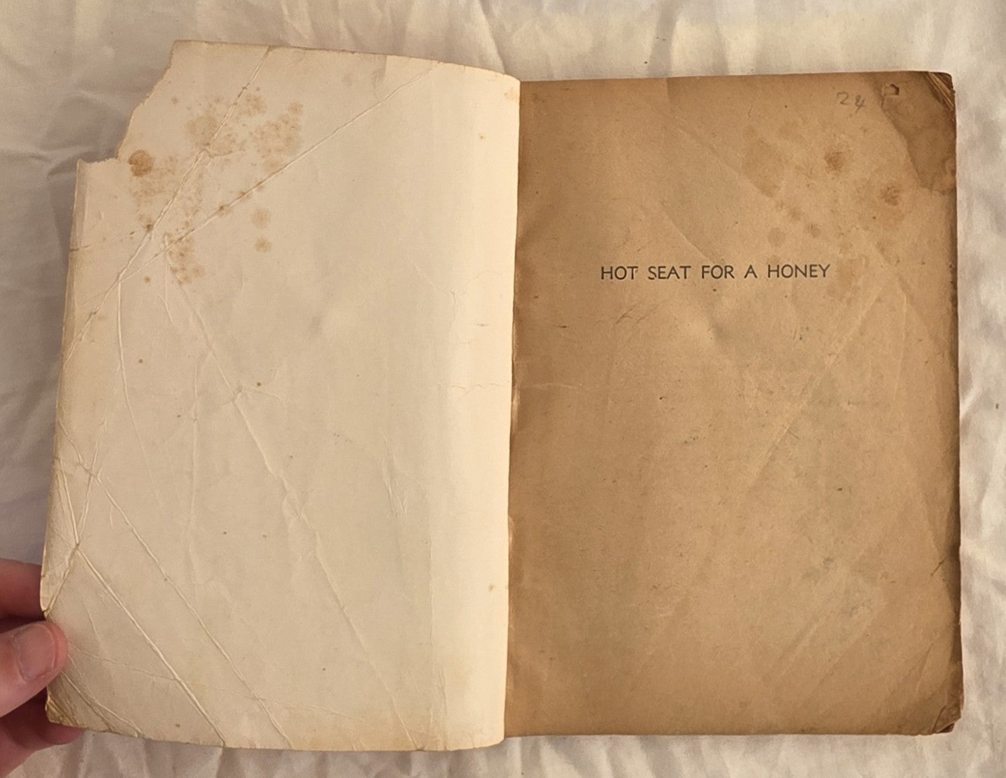 Hot Seat for a Honey by Peter Carter Brown