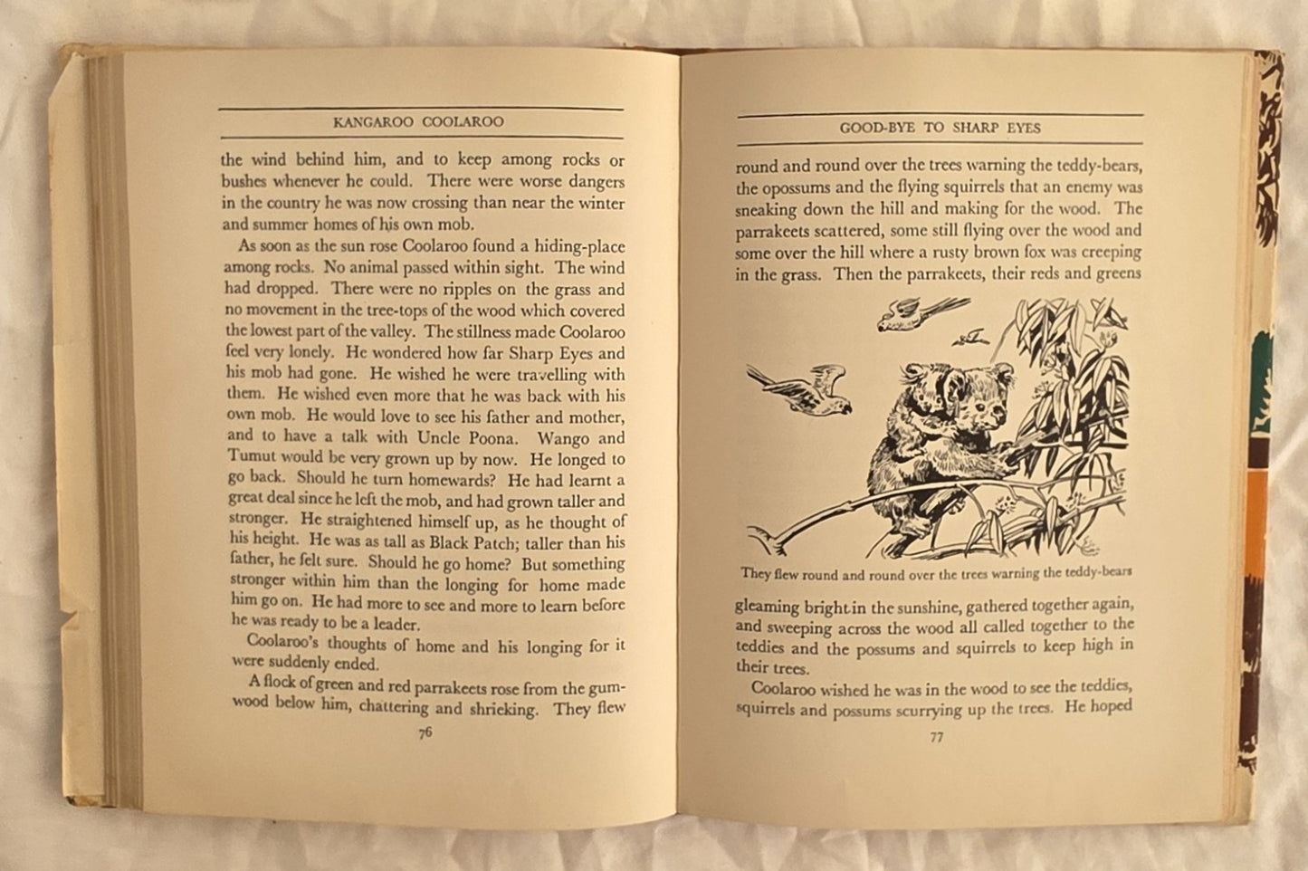 Kangaroo Coolaroo by Lydia S. Eliott