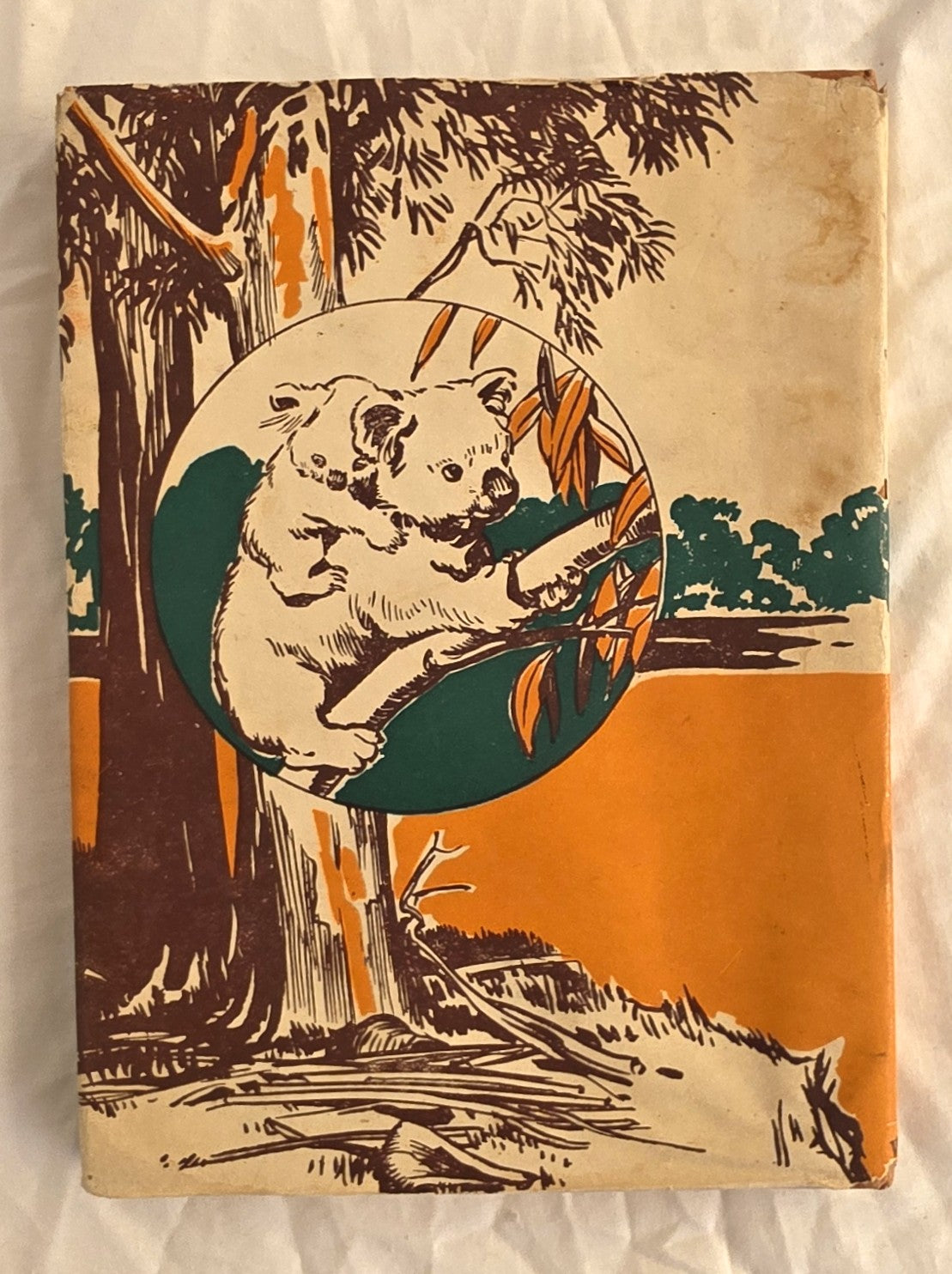 Kangaroo Coolaroo by Lydia S. Eliott