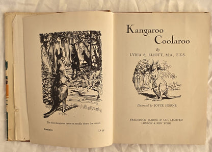 Kangaroo Coolaroo by Lydia S. Eliott