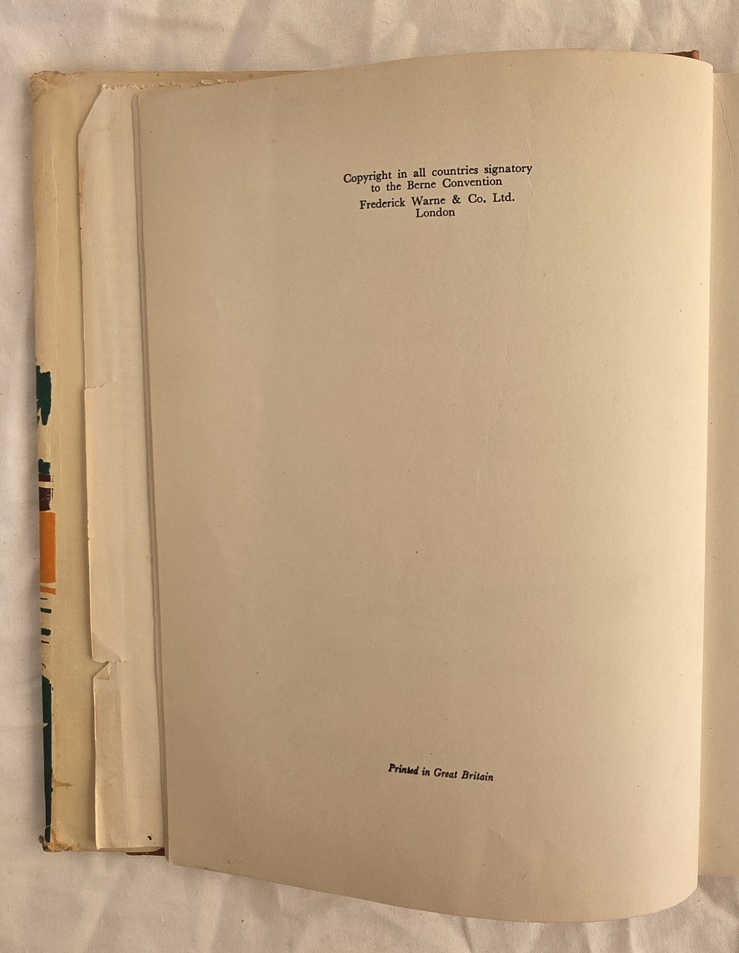 Kangaroo Coolaroo by Lydia S. Eliott