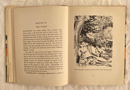 Kangaroo Coolaroo by Lydia S. Eliott